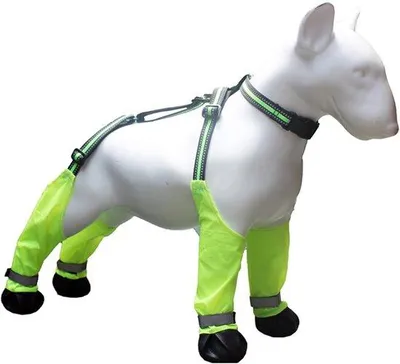 Produktbild von Wasserfeste Hundeschuhe mit Riemen für Hunde (M) mit faltsamer Futternappe für Haustiere