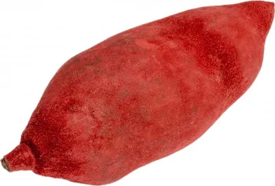 Produktbild von Baobab  Frucht rot ca. 9-12cm | Adansonia digitata