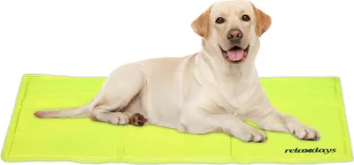 Produktbild von relaxdays Grüne Kühlmatte für Hunde