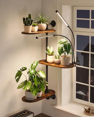 Image de Support pour plantes