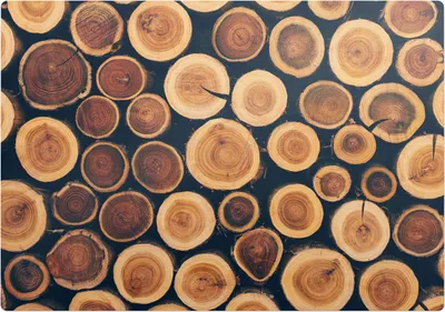 Produktbild von Holzkreise – Bodenschutzmatte – Rutschfest – Schutzmatte für Büro – Vinylmatte – Stuhlunterlage  – 100 x 100 cm