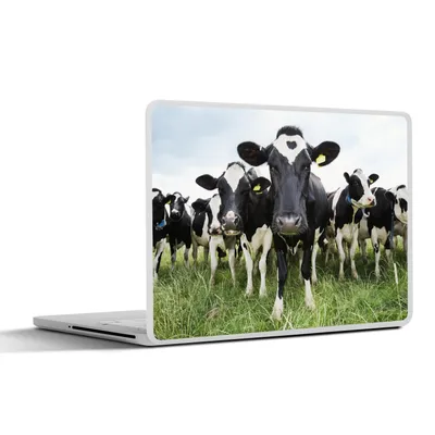 Produktbild von MuchoWow® Laptop Aufkleber Sticker Cover Kühe - Gras - Frühling - Tiere - Wiese - Bauernhof 36.5x27.5 cm - Laptop-Sticker