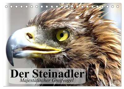 Produktbild von Der Steinadler. Majestätischer Greifvogel (Tischkalender 2027 DIN A5 quer), CALVENDO Monatskalender