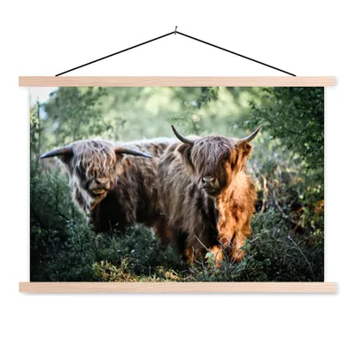 Produktbild von MuchoWow® Textilposter Schottische Highlander - Wald - Tiere 120x80 cm mit holzfarbenen Rahmen - Aufhängeset