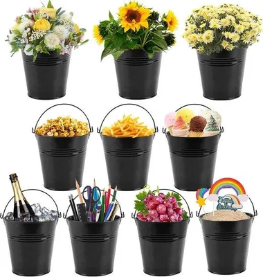 Image de Mini-pots en métal noir, lot de 10, décoration de table de jardin