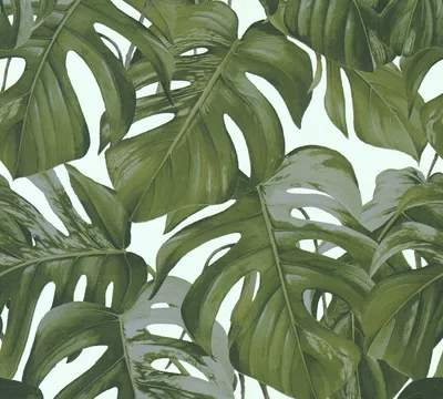 Produktbild von Michalsky Living Palmentapete Dream Again tropische Tapete Vliestapete grün blau 10,05 m x 0,53 m