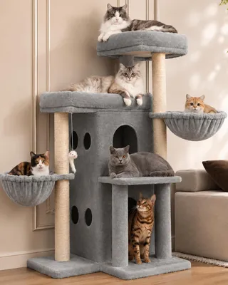 Image de Arbre à chat gris clair