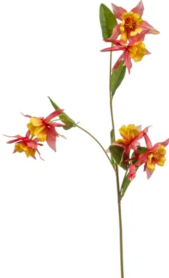 Produktbild von künstliche Glockenblume orange gelb H. 85cm mit 3 Blütenrispen Emerald WA