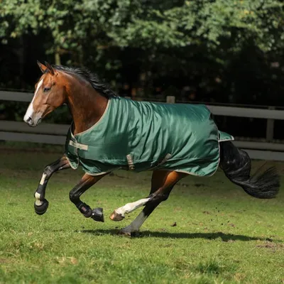Produktbild von Bucas Outdoordecke 0g Freedom Turnout Light Regendecke Opal/Taupe 140