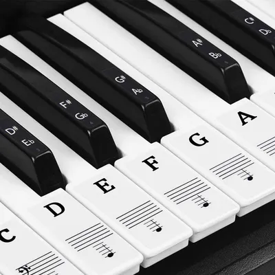 Productafbeelding van Piano Stickers - Keyboard Stickers - Eenvoudig Muzieknoten Leren - 49/54/61/88 Toetsen - Kleur