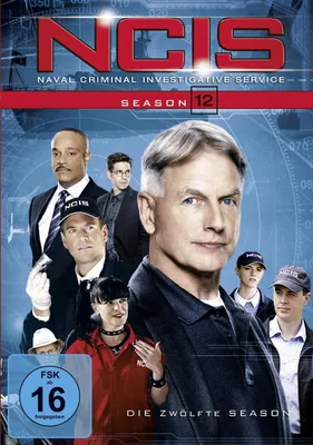 Produktbild von Navy CIS - Season 12 DVD-Box