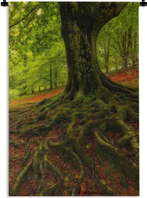 Produktbild von MuchoWow® Wandteppich Wandbehang Baum - Wald - Herbstblätter 60x90 cm Tapisserie Dekoration Wandtuch - Foto-Teppich - Abwaschbar