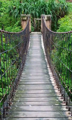 Produktbild von Fototapete - Footbridge 150x250cm - Vliestapete