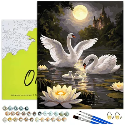 Produktbild von Malen nach Zahlen Erwachsene Schwanenfamilie bei Vollmond mit Rahmen 40x50 cm
