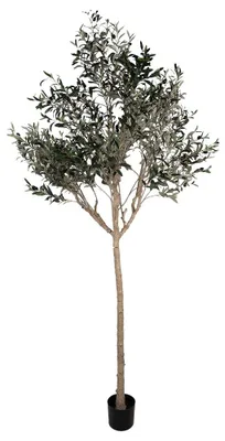 Produktbild von Clayre & Eef Künstlicher Olivenbaum 240 cm Grün Kunststoff