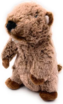 Immagine prodotto di Onwomania peluche animale di peluche Mankei scoiattolo di terra marmotta altezza 17 cm marrone