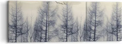 Produktbild von Bild auf Leinwand - Leinwandbild - 3 Teile - Bäume Vögel Himmel - 90x30cm - Wand Bild - Wanddeko - Wandbilder - Leinwanddruck - Bilder - Wanddekoration - Leinwand bilder - Wandbild - CA90x30-4546