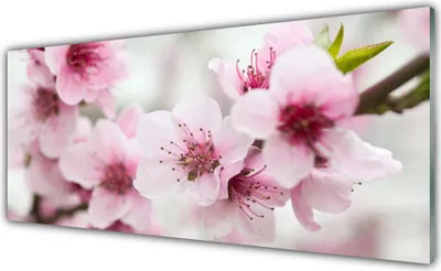 Produktbild von Glasbilder 125x50 Wandbild Druck auf Glas Blumen Pflanzen