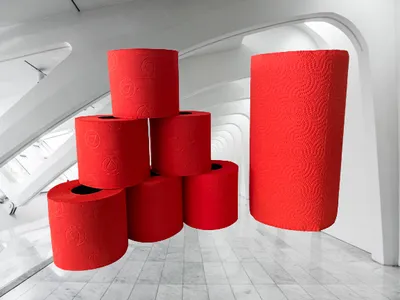 Produktbild von PowerLOOK in ROT - 2er Set deSIGN Set WC Papier geprägt / XXL Handtuchrolle / Küchenrolle - color your Life
