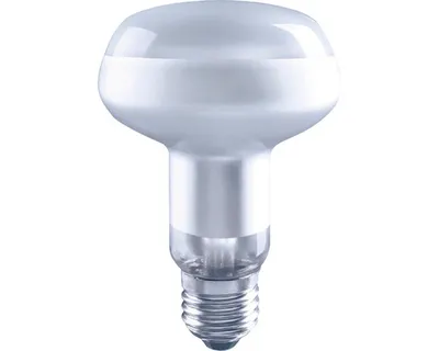 Obrázek produktu pro LED žárovka FLAIR reflektor R80 E27 7W/47W 590lm 2700K matná stmívatelná