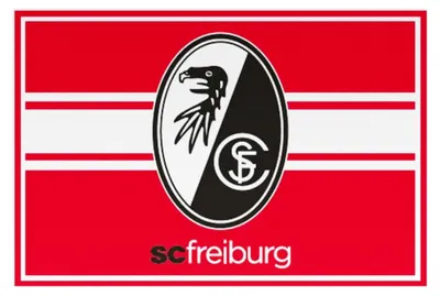 Produktbild von Fußmatte in Rot und Weiß