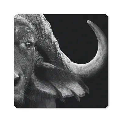 Produktbild von MuchoWow® Mauspad Mousepad Büffel - Tiere - Schwarz - Weiß 20x20 cm - Mousepads - Maus Mat - Pad - Mausunterlage - Desk Mat - Bureauartikeln