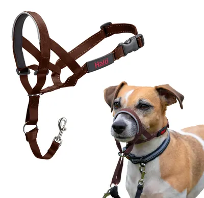 Obrázek produktu pro Halti ohlávka/Headcollar ořech, velikost: 1