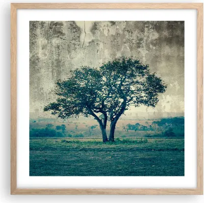 Produktbild von Gerahmtes Poster - Rahmen in heller Eiche - Baum Natur Feld - 50x50 cm - Wand Bild - Wanddeko - Wandbilder - Kunstposter - Wandposter - Bilderrahmen - Bilder - Kunstdruck - Wandbild - P2NAC50x50-3627