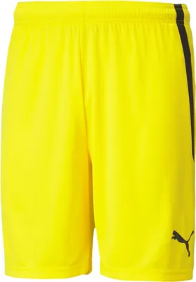 Obrázok produktu pre Puma Nohavice Spodenki Teamliga M, 70492407, Größe: 176