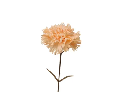 Produktbild von 2474U Kunststielblume Nelke Apricot, Künstliche Blume, 60 cm