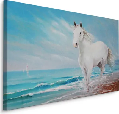 Produktbild von Fabelhafte Canvas LEINWAND BILDER 70x50 cm XXL Kunstdruck Strand Meer Pferd Segelboot