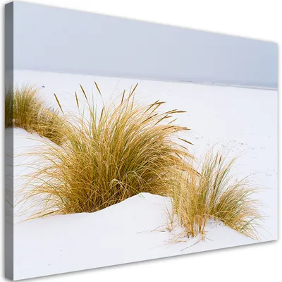 Image de Toile « Dunes sur sable doré » 60 x 40 Feeby Beige Image pour le mur, prête à être accrochée