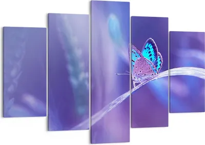 Produktbild von Bild auf Leinwand - Leinwandbild - Schmetterling Natur - 150x100cm - Wand Bild - Wanddeko - Leinwanddruck - Bilder - Kunstdruck - Wanddekoration - Leinwand bilder - Wandkunst - EA150x100-3879