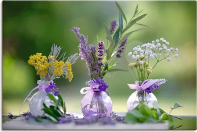 Produktbild von ARTland Leinwandbild Sommer Potpourri mit feinen Kräutern Größe: 90x60 cm