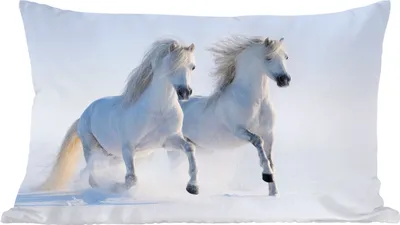 Produktbild von MuchoWow® Zierkissen Sofakissen Wohnzimmer Dekokissen 60x40 cm Winter - Pferde - Schnee - Kopfkissen - Polster mit Foto