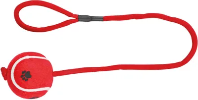 Immagine prodotto di Pallina da tennis al guinzaglio ø 6/50 cm lime