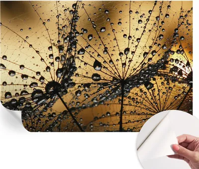 Produktbild von Selbstklebende Wandtapete - Dekorative Tapete für Wohnzimmer - Klebefolie für Wandbilder - Tapetenfolie für Wanddekoration - 152x104 cm - Zarte Tropfen