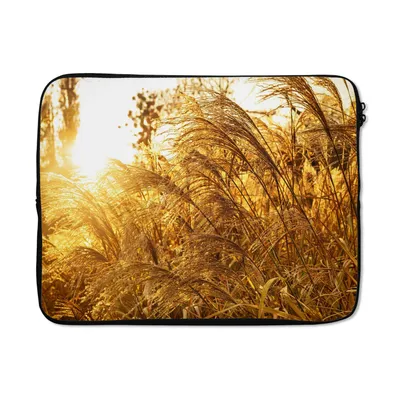 Produktbild von MuchoWow® Laptop Hülle 15 Zoll Pampasgras - Sonne - Gras Laptoptasche - Laptoptasche - Sleeve - Rundum-Schutz