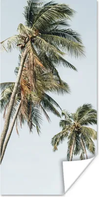 Produktbild von MuchoWow® Poster Palmen - Sommer - Tropisch 40x80 cm - Dekoration