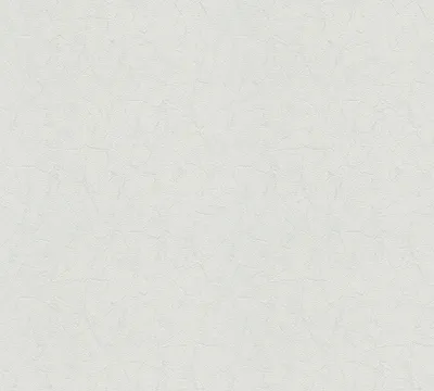 Zdjęcie produktu dla A.S. Création tapeta włókninowa Meistervlies Pro Protect 2, biała, do malowania, 25,00 m x 1,06 m, 587114, 5871-14