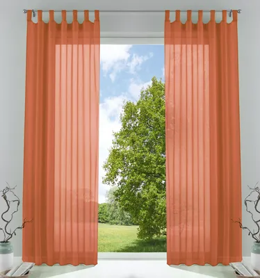 Produktbild von 2er-Pack Gardinen Transparent Vorhang Set Wohnzimmer Voile Schlaufenschal mit Bleibandabschluß HxB  245x140 cm Terrakotta 61000CN