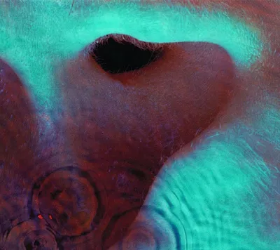 Obrázek produktu pro Pink Floyd - Meddle (CD)