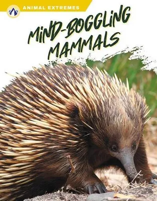 Zdjęcie produktu dla Mind-Boggling Mammals