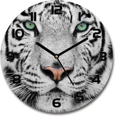 Produktbild von Wanduhr aus Glas 30fi Glasbild Glasuhr Gehärtetes Glas - schwarze-zeiger - White Tiger