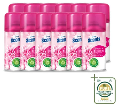 Produktbild von 12 x At Home Scents Nachfüller - Kirschblüte - 250 ml - Vorratspackung - 12 Stücke