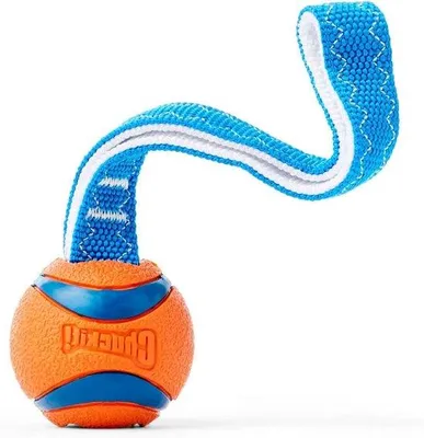 Obrázek produktu pro Hračka pro psy: Ultra Tug Interaktivní gumové přetahovadlo pro malé psy