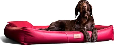 Produktbild von tierlando® Orthopädische Hundematratze CLIFFORD LATEX-Matratzenkern Kunstleder - Größe: 85x60cm | Farbe: 04 Dunkelrot