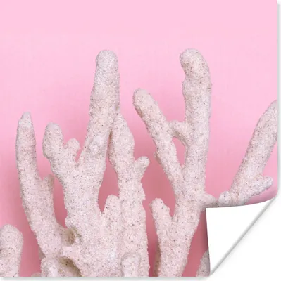 Produktbild von MuchoWow® Poster Koralle - Rosa - Sommer 75x75 cm - Wand Dekoration