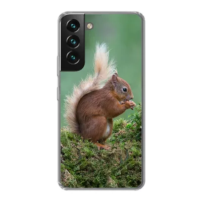 Produktbild von MuchoWow® Handyhülle Schutzhülle Hülle für Samsung Galaxy S22 Plus Eichhörnchen - Wald - Moos Silikon Softcase Handy Hülle - Schutzabdeckung