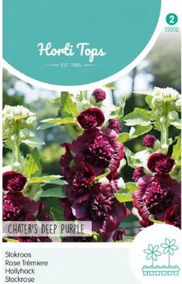 Produktbild von Stockrose Chater's Deep Purple | Stockrosensamen von Hortitops